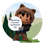Salesforce Marketing Associate Certification