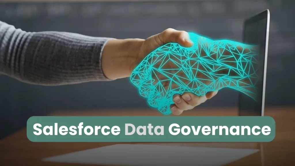 Salesforce Data Governance