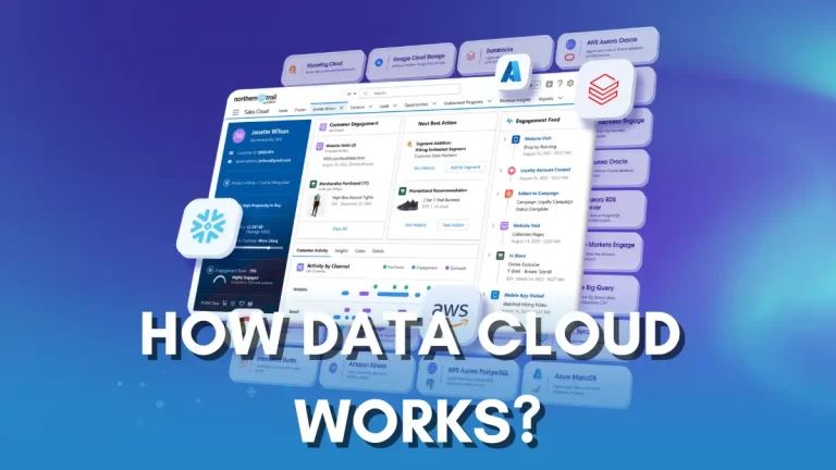 Salesforce Data Cloud