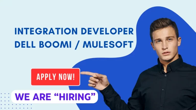 intergration developer