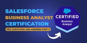 Salesforce Business analyst practice exam