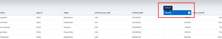 Data Understanding with Custom Tooltips 