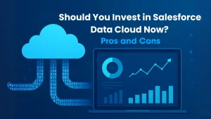 Salesforce Data Cloud Pros and Cons