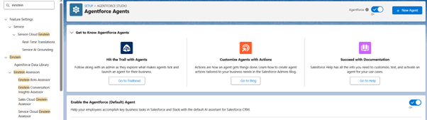 Enable the Agentforce 