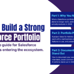 How to Document a Salesforce Portfolio