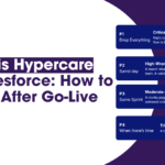 What Is Hypercare in Salesforce? How to Run It After Go-Live 2 What is Hypercare in Salesforce