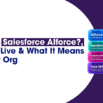 What Is Salesforce AIforce? What's Live, What's Beta, and What It Means for Your Org 2 What is AIforce