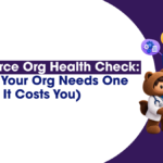 Salesforce Org Health Check